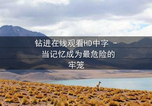 钻进在线观看HD中字 - 当记忆成为最危险的牢笼