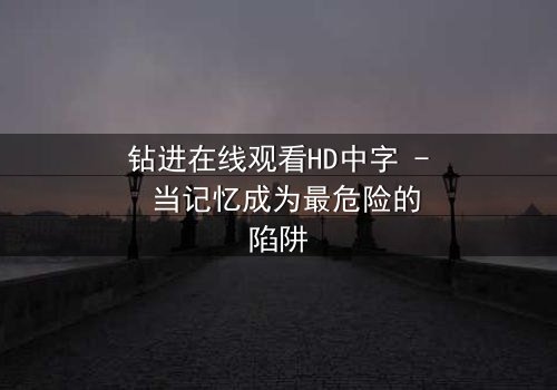 钻进在线观看HD中字 - 当记忆成为最危险的陷阱