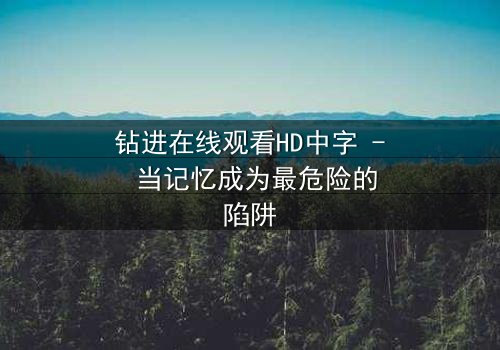 钻进在线观看HD中字 - 当记忆成为最危险的陷阱
