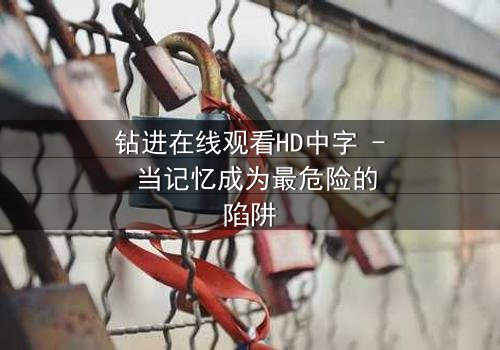钻进在线观看HD中字 - 当记忆成为最危险的陷阱