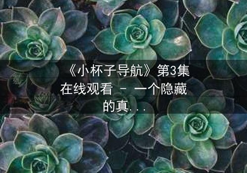 《小杯子导航》第3集在线观看 - 一个隐藏的真相即将引爆你的屏幕