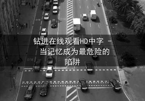 钻进在线观看HD中字 - 当记忆成为最危险的陷阱