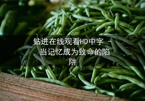 钻进在线观看HD中字 - 当记忆成为致命的陷阱