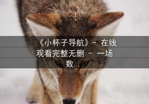 《小杯子导航》- 在线观看完整无删 - 一场数字迷宫的生死抉择