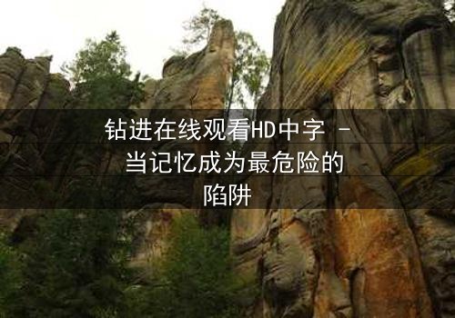 钻进在线观看HD中字 - 当记忆成为最危险的陷阱