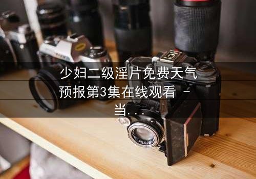 少妇二级淫片免费天气预报第3集在线观看 - 当欲望与命运在暴风雨中交织