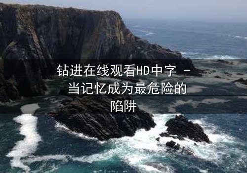 钻进在线观看HD中字 - 当记忆成为最危险的陷阱
