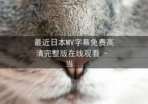 最近日本MV字幕免费高清完整版在线观看 - 当禁忌之恋遇上致命谎言,你敢揭开真相吗?