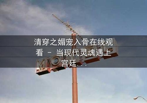 清穿之媚宠入骨在线观看 - 当现代灵魂遇上宫廷权谋,谁能笑到最后?