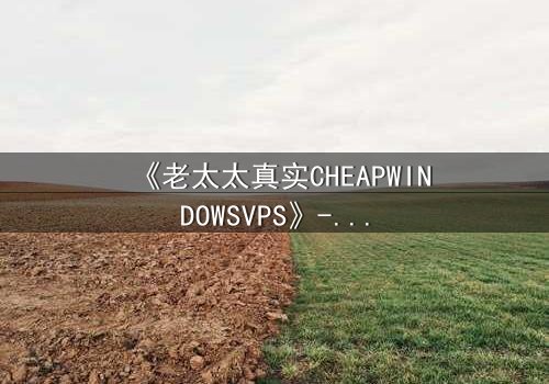 《老太太真实CHEAPWINDOWSVPS》- 完整无删在线观看 - 她为何用廉价服务器揭开惊天秘密?