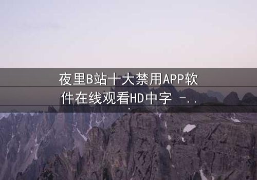夜里B站十大禁用APP软件在线观看HD中字 - 揭开数字禁忌的惊悚之旅