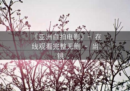 《亚洲自拍电影》- 在线观看完整无删 - 当镜头成为欲望的审判者