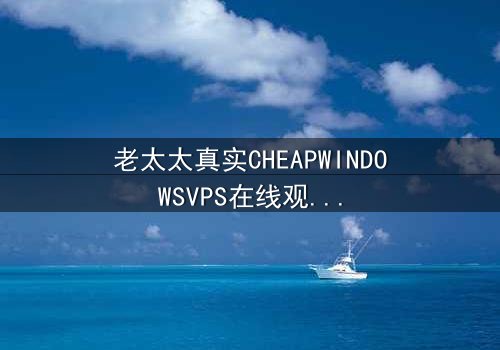 老太太真实CHEAPWINDOWSVPS在线观看 - 当廉价VPS藏匿惊天秘密,一位老妇的生死抉择将颠覆你的认知!
