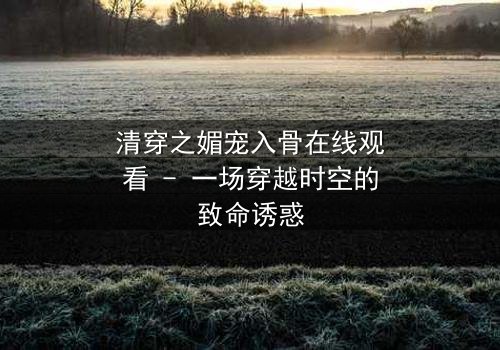 清穿之媚宠入骨在线观看 - 一场穿越时空的致命诱惑