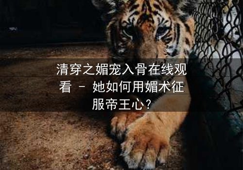 清穿之媚宠入骨在线观看 - 她如何用媚术征服帝王心?