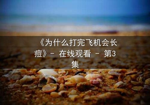 《为什么打完飞机会长痘》- 在线观看 - 第3集