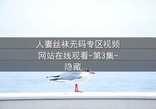 人妻丝袜无码专区视频网站在线观看-第3集-隐藏的欲望与背叛