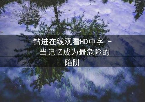 钻进在线观看HD中字 - 当记忆成为最危险的陷阱